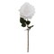 20" Open Rose Stem - 4 Pack | Lifelike Silk Flowers | Floral Home®